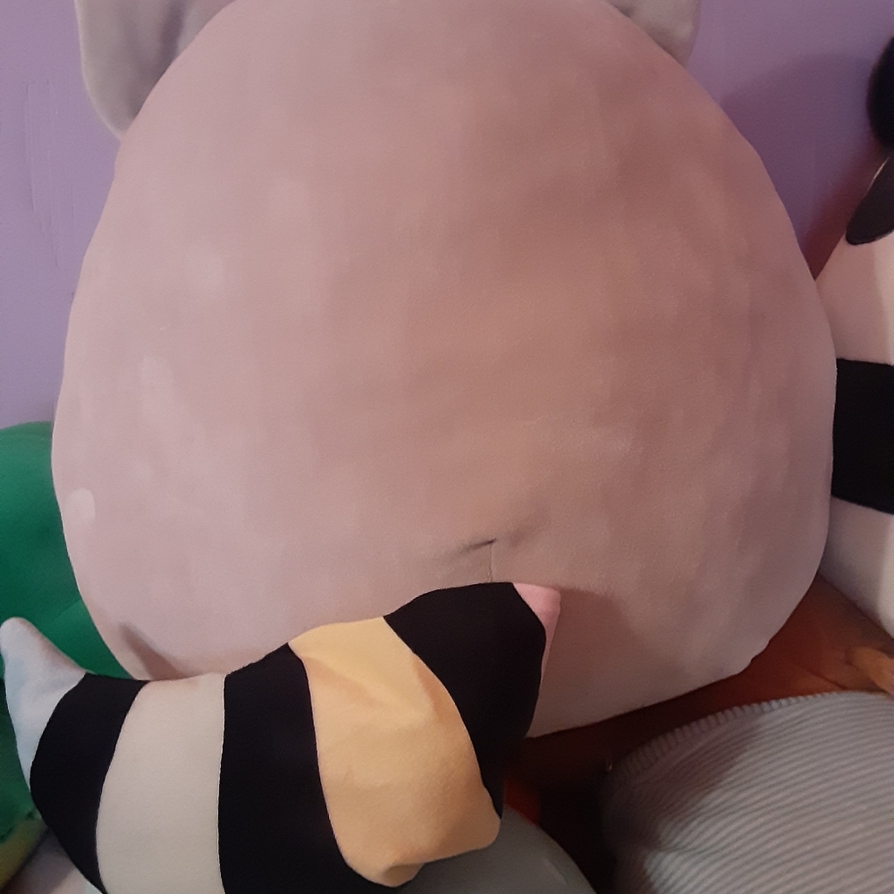 Squishmallow Raccoon - Picture 2 of 2